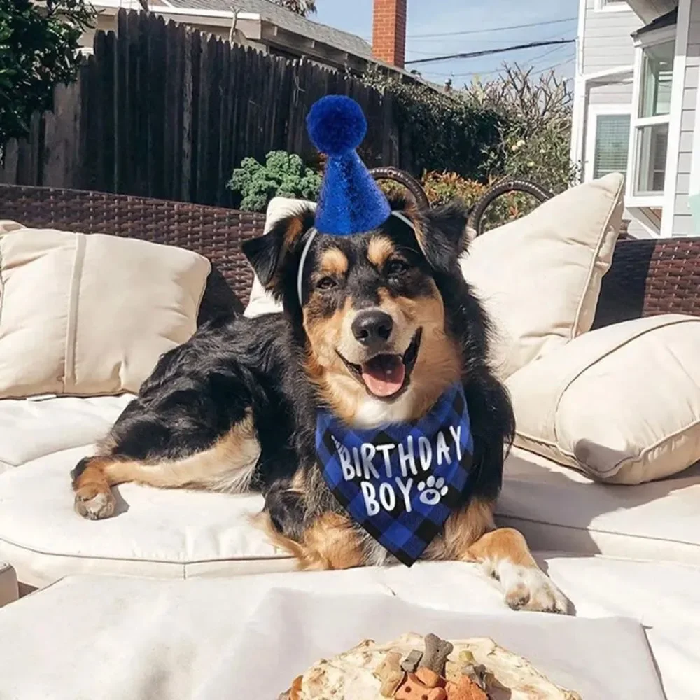 New dog birthday boy party accessories